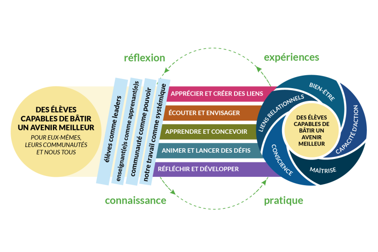 Le diagramme complet en couleur surmonté d'une flèche circulaire pointillée verte illustrant une boucle d'apprentissage continu : réflexion, expériences, pratique et connaissance.