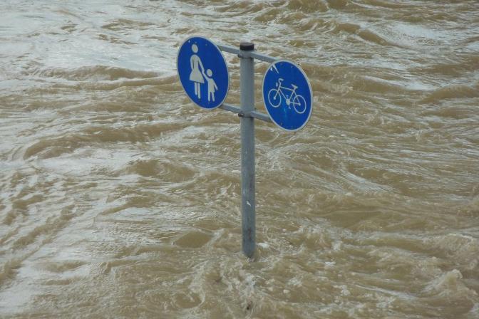 floodwaters surrounding a signpost