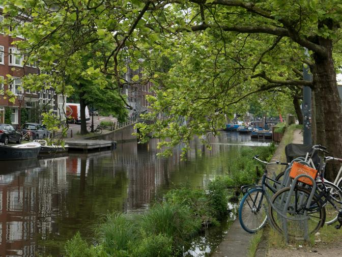 canal street with bikes parked next to a tree