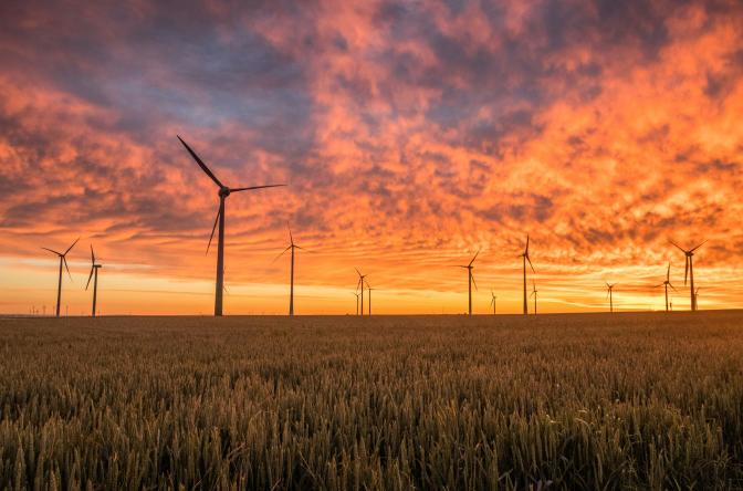 grass field with wind mills