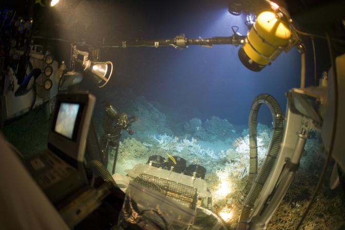 submersible underwater showing corals