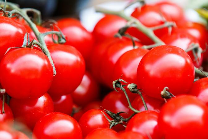 pile of red tomatoes