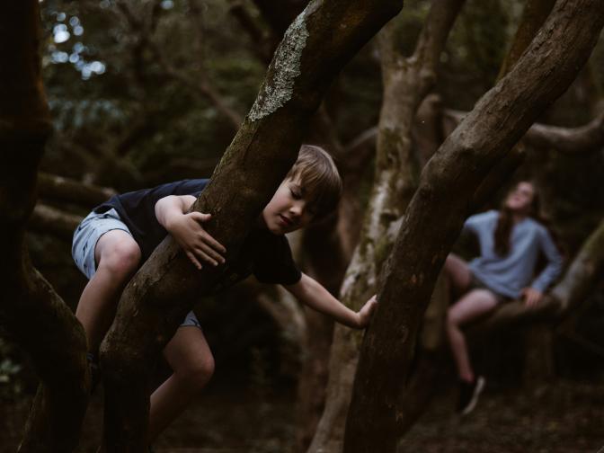 kids climbing trees