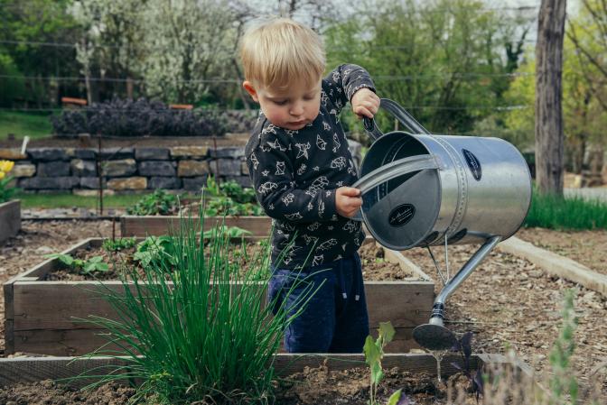 boy watering plants