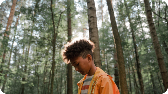 boy surrounded by trees