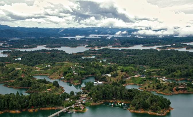 body of water surrounded by forests