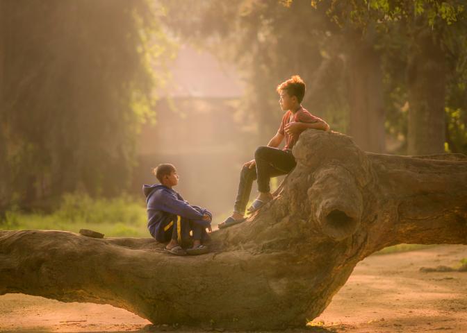 two boys seated on a fallen tree branch