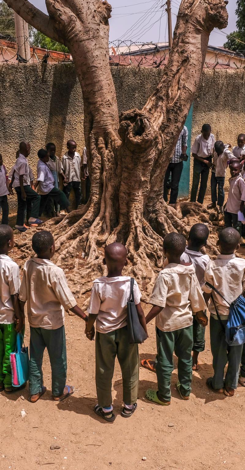 Un groupe de jeunes élèves forme un cercle, main dans la main, autour d'un arbre. Certains portent des sacs à dos ou tiennent leurs sacs à la main. Leur enseignante marche autour d'eux, à l'extérieur du cercle.